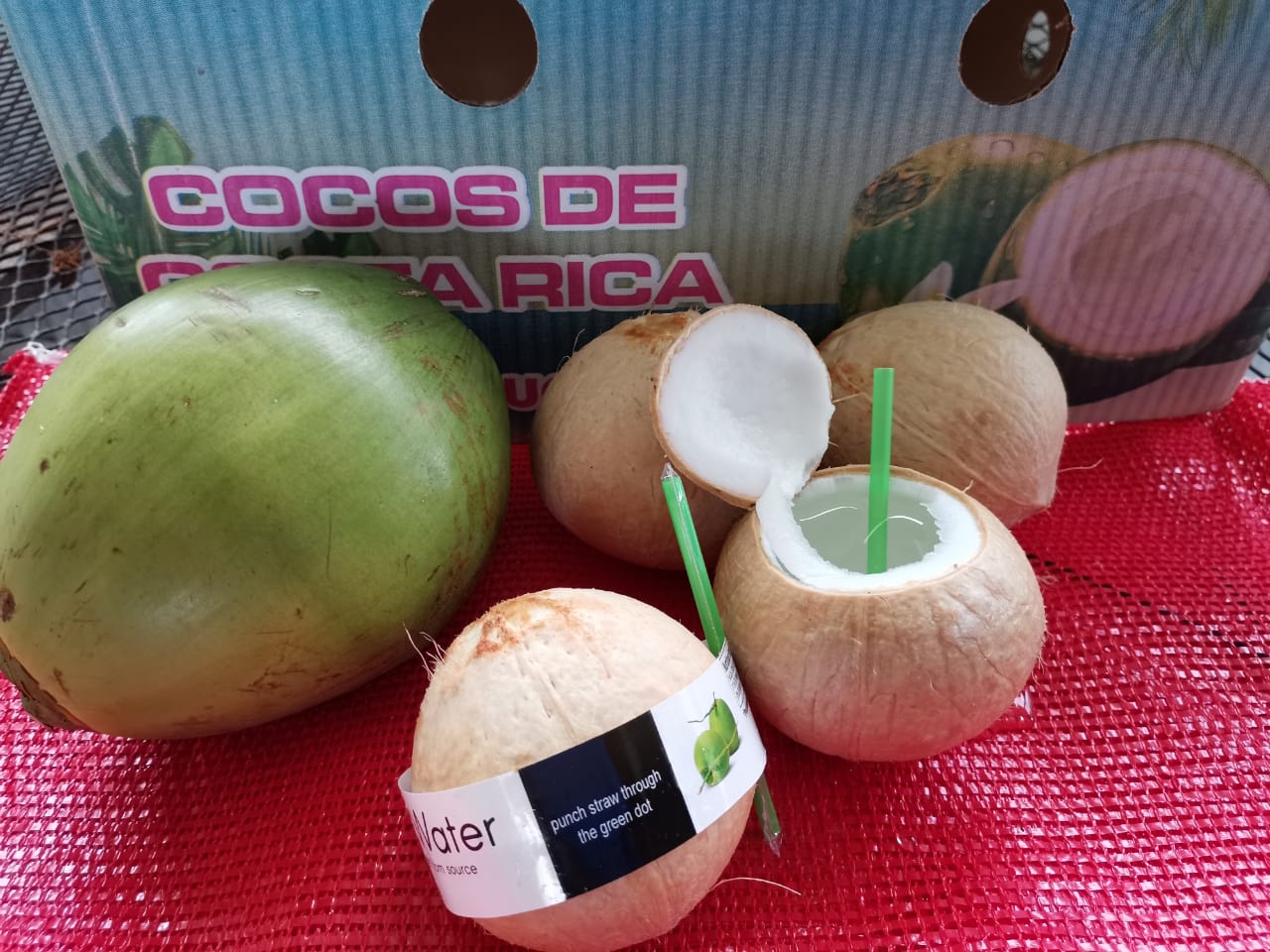 Agua de Coco/ Cocos de Costa Rica